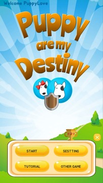 강아지 내운명(Puppy Destiny)/아케이드 게임游戏截图1