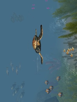 VR海族館游戲截圖2