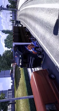 卡车模拟器 3D游戏截图4