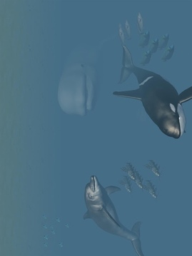 VR海族館游戲截圖4