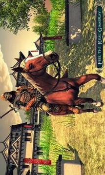 Ninja Samurai Arashi Saga Dual Sword Fight Pro游戲截圖2