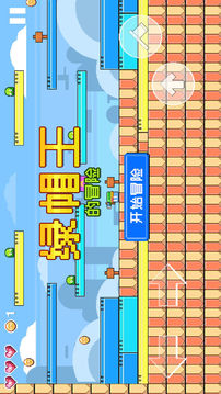 綠帽王的冒險(xiǎn)游戲截圖5