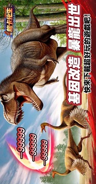 龍卡化生游戲截圖1