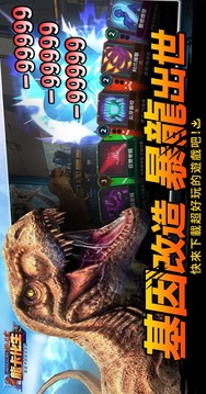 龍卡化生游戲截圖4