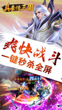 真豪情三國游戲截圖3