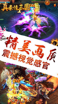 真豪情三國游戲截圖4