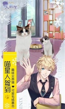 夢間集天鵝?座?游戲截圖1