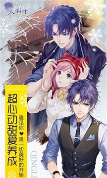 夢間集天鵝?座?游戲截圖4