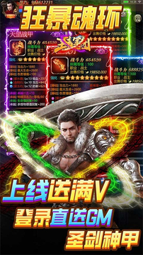 王者軍團武魂游戲截圖2