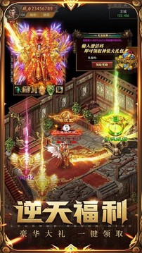 天辰傳奇合擊游戲截圖2