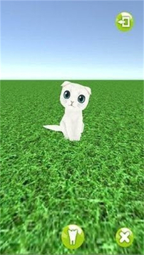 一起來捉貓游戲截圖1
