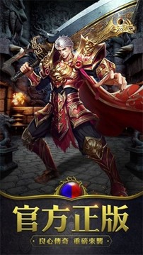 英雄合擊一戰(zhàn)稱王游戲截圖1