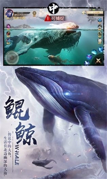 山海經(jīng)之不死神獸游戲截圖4
