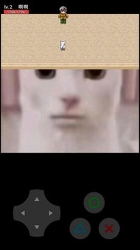 貓貓驚魂游戲截圖2