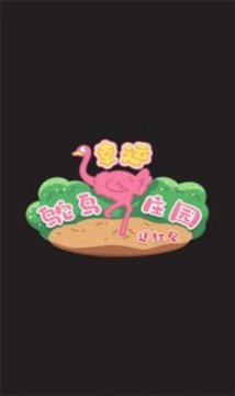 幸運(yùn)鴕鳥莊游戲截圖1