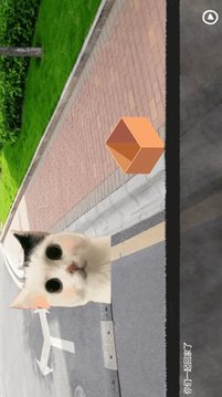 拯救小寵物游戲截圖2