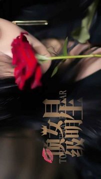 頂級女明星游戲截圖3