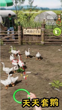 天天套圈游戲截圖2