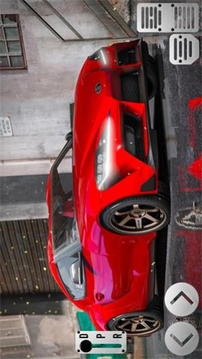 超級(jí)賽車(chē)瘋狂特技游戲截圖2