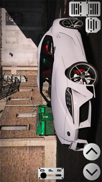 超級(jí)賽車(chē)瘋狂特技游戲截圖3