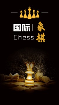 簡單國際象棋游戲截圖2