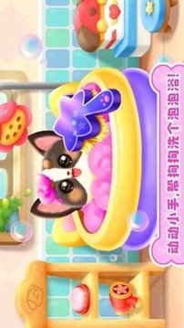 奇妙狗狗養(yǎng)成記游戲截圖2
