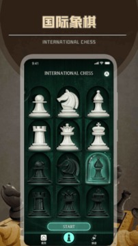 簡單國際象棋游戲截圖1