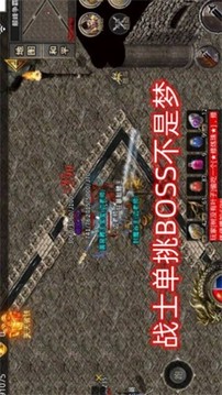 功速大極品游戲截圖5