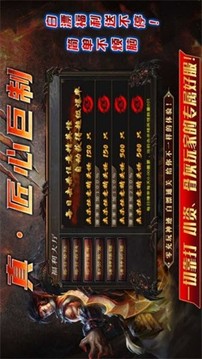 玄冰神跡之城游戲截圖4