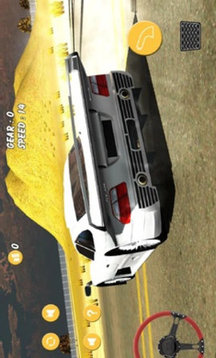 沙漠汽车模拟器游戏截图2