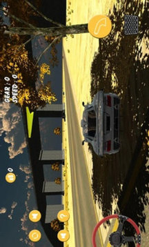 沙漠汽车模拟器游戏截图3