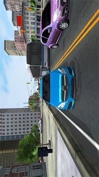 公路驾驶挑战游戏截图3