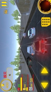 我是開車大師游戲截圖3