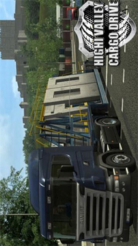 大城市卡车驾驶游戏截图1