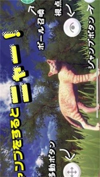貓的春天游戲截圖3