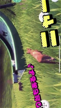 貓的春天游戲截圖1