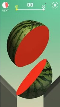 薄片大師游戲截圖1