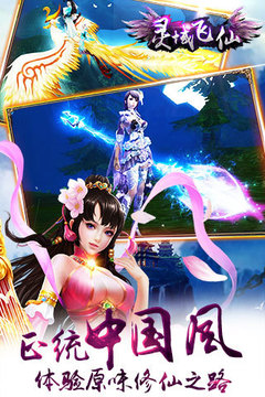 靈域飛仙游戲截圖2