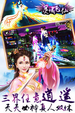 靈域飛仙游戲截圖3