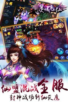 靈域飛仙游戲截圖5