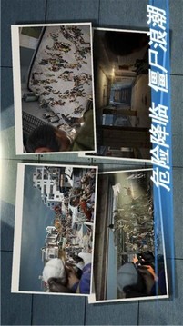 幸存者危機(jī)游戲截圖1