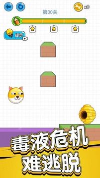 狗狗保衛(wèi)戰(zhàn)游戲截圖1