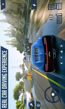 终极汽车模拟游戏截图1