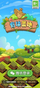 有塊菜地游戲截圖2