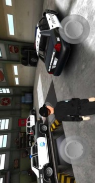 警車(chē)警察汽車(chē)模擬游戲截圖1