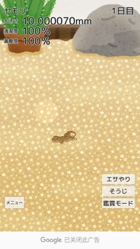 育成療愈壁虎游戲截圖3