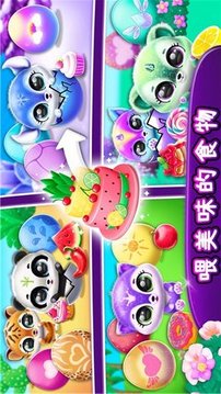 夢幻寵物屋游戲截圖3