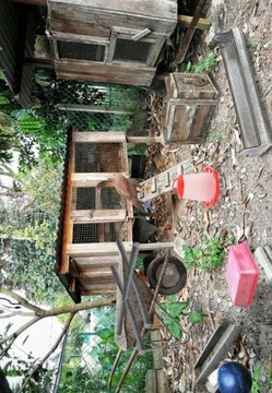 神秘秘境游戲截圖3