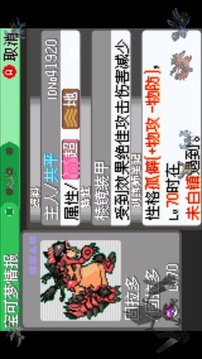 口袋妖怪日月寶石八木特別篇游戲截圖3