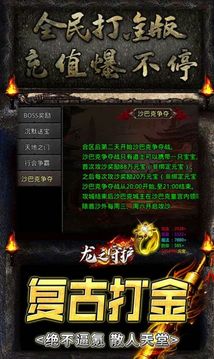 龍之守護(hù)GM扶持游戲截圖1